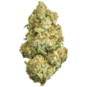 Buy White Widow Strain Online Green Society