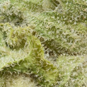 Buy BC Kush Online Green Society