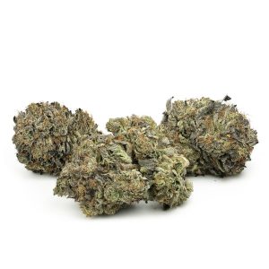 Buy Jedi Kush Online Green Society