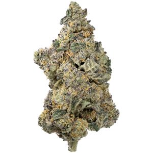 Buy Chernobyl Strain Online Green Society