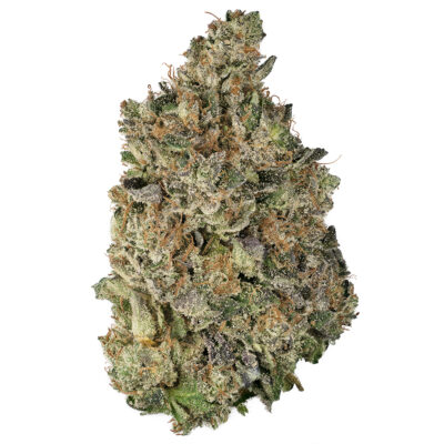 Buy Pink Kush Online Green Society