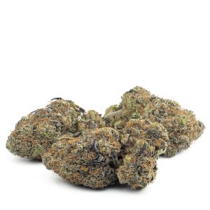 Buy Purple Haze Online Green Society