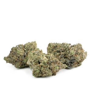 Buy Gator Breath by Jungle Boys Online Green Society