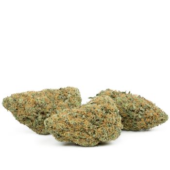 Buy Mandarin Cookies Strain Online Green Society