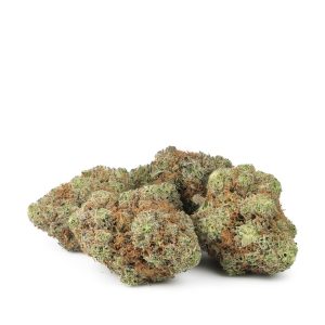 Buy Banana Frosting Strain Online Green Society