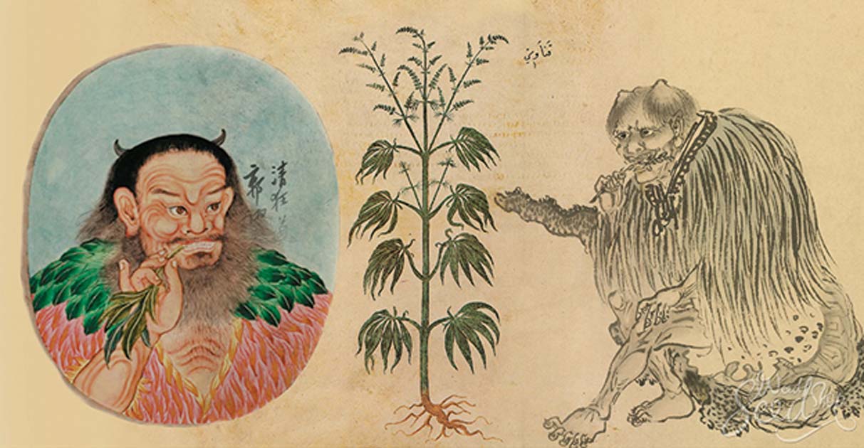 Weed in Ancient China