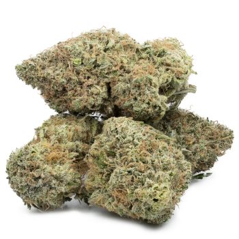 Buy Melonade Strain Online Green Society