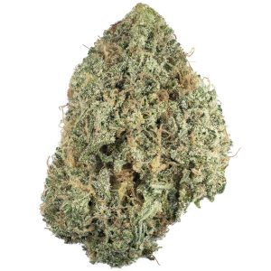 Buy Melonade Strain Online Green Society
