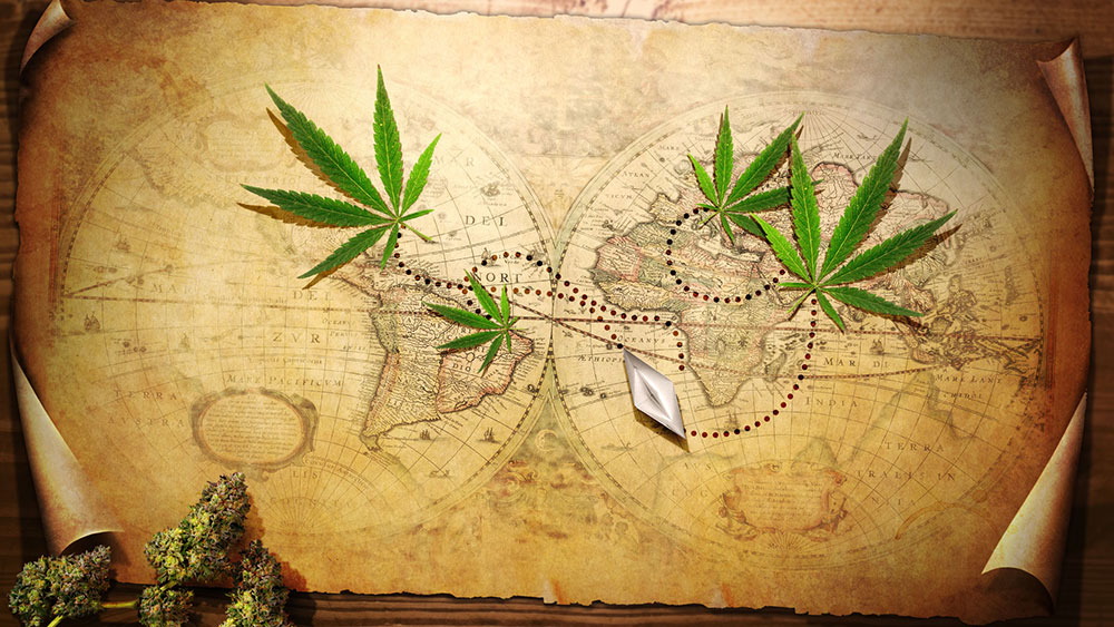 History Of Marijuana