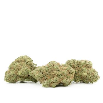 Buy Glookies Strain Online Green Society