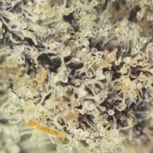 Buy Purple Drank Breath Online Green Society