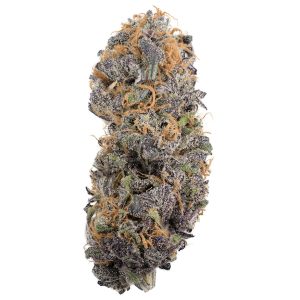 Buy Durban Poison Online Green Society