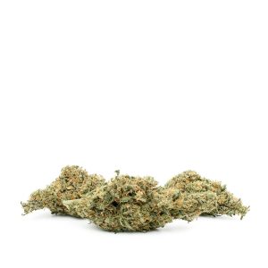 Buy Sour Amnesia Haze Online Green Society