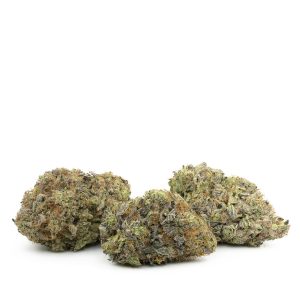 Buy Key Lime Pie Strain Online Green Society