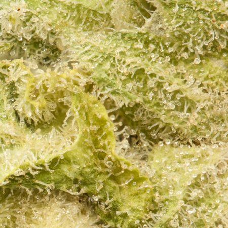 Buy BC Kush Strain Online Green Society