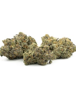 Buy Banana Punch #9 Online Green Society