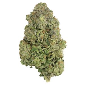 Buy First Class Funk Strain Online Green Society