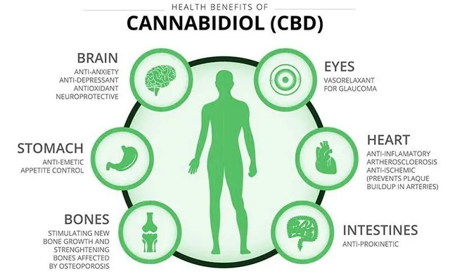 8 Health Benefits Of Cbd Oil 640w