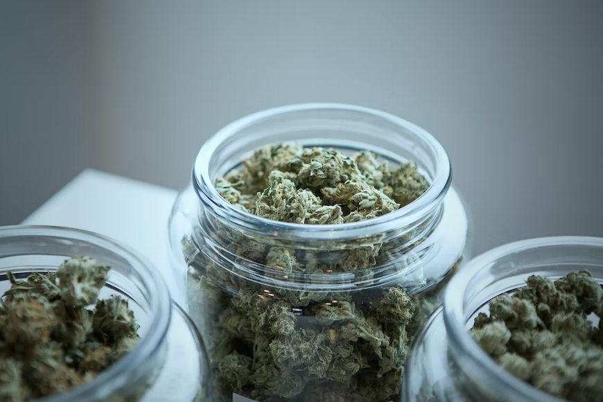 Jars Of Cannabis Marijuana