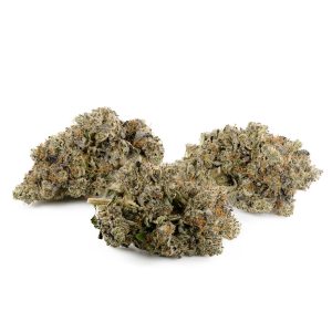 Buy Black Gas Strain Online Green Society