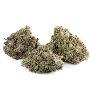 Buy Rockstar Strain Online Green Society