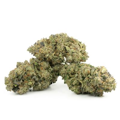 Buy Pink Galaxy Strain Online Green Society