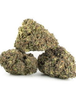 Buy Alien OG Strain Online Green Society