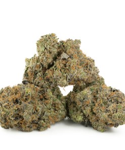 Buy OG Diesel Kush Online Green Society