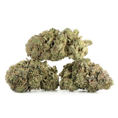 Buy Pink Gas Strain Online Green Society