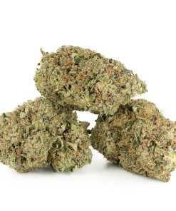 Buy El Chapo Strain Online Green Society