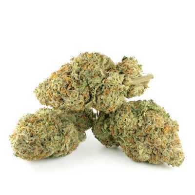 Buy Jack Herer Strain Online Green Society