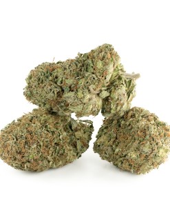 Buy Tahoe OG Kush Strain Online Green Society