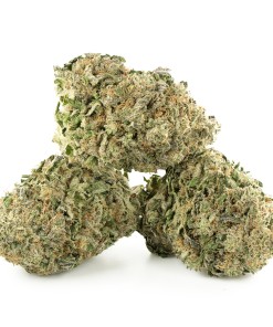 Buy Candyland Strain Online Green Society