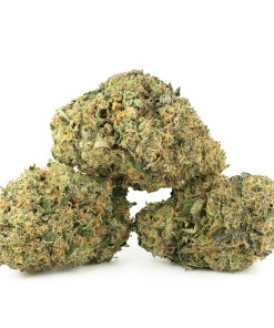 Buy Fuelato Strain Online Green Society