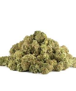 Buy Hindu Kush Online Green Society