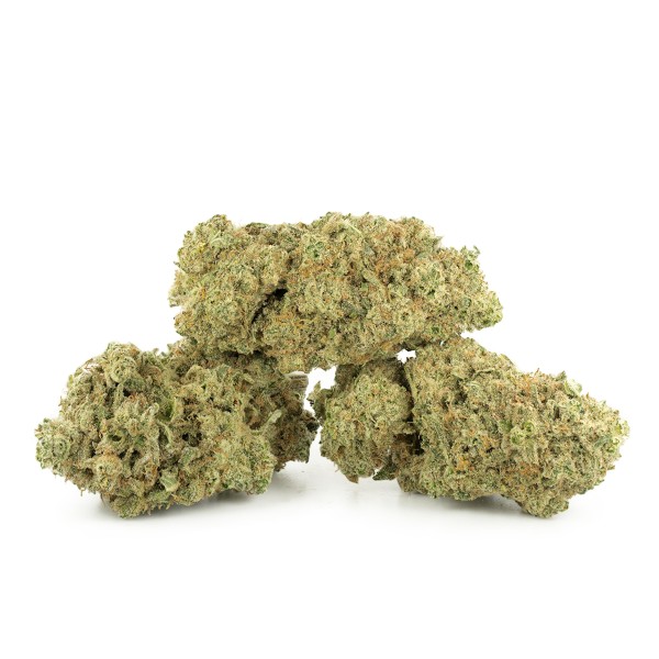 Buy 24K Gold Strain Online Green Society