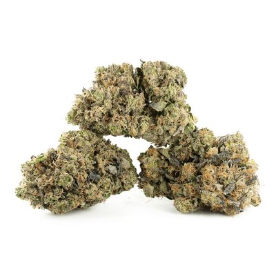 Buy Master Kush Online Green Society