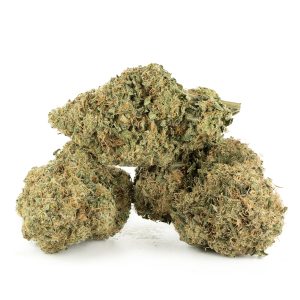 Buy Orange Push Pop Strain Online Green Society