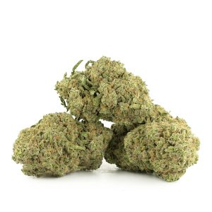 Buy Sour Amnesia x Nuken Strain Online Green Society