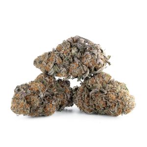 Buy Purple Punch Strain Online Green Society