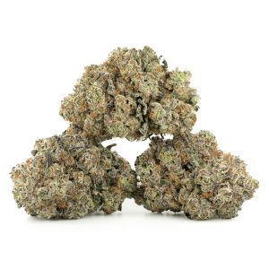 Buy Berry Pie Strain Online Green Society