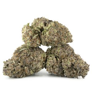 Buy Fruit Punch Strain Online Green Society