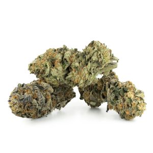 Buy Acapulco Gold Strain Online Green Society