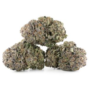 Buy Purple Kush Strain Online Canada Green Society