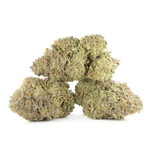 Buy Duke Nukem Strain Online Canada Green Society