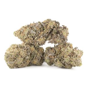 Buy Supreme Nuken Strain Online Canada Green Society