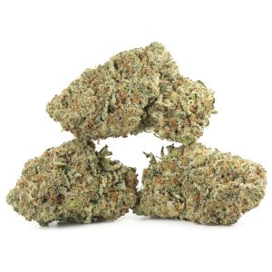 Buy Mataro Blue Strain Online Green Society