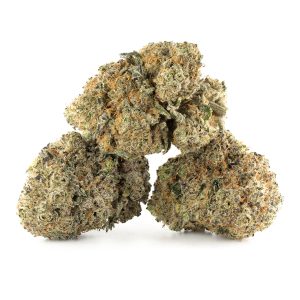 Buy Rainbow Chip Strain Online Green Society