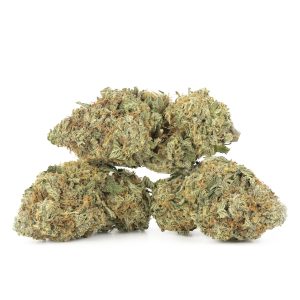 Buy UK Cheese Strain Online Green Society