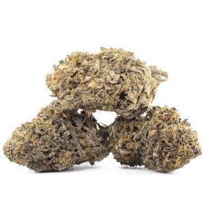 Buy Sunset Sherbet x High Octane BX3 Strain Online Green Society